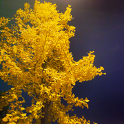 深夜情感-佚名-主播建哥简单说