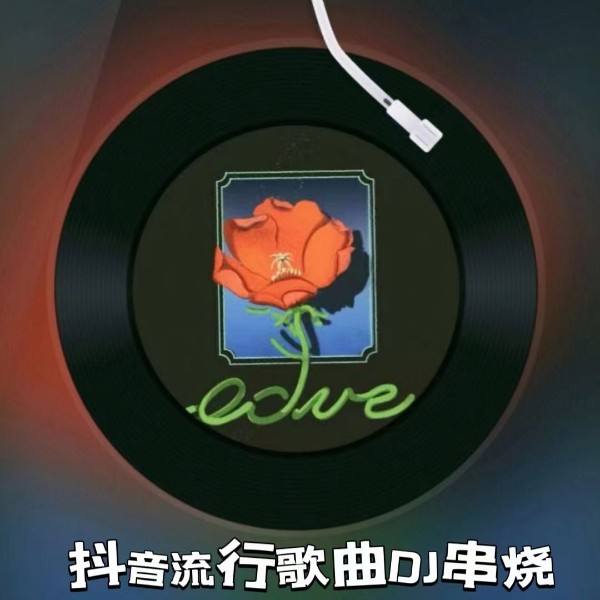 抖音流行歌曲DJ串烧