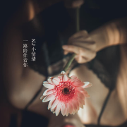NJ小情绪--NJ小情绪_12053593-佚名