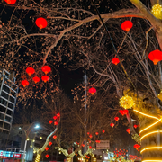2026张灯结彩-佚名-相声