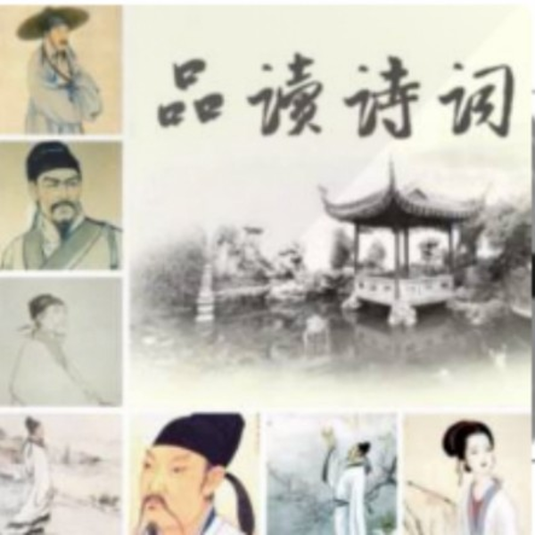 品读诗词