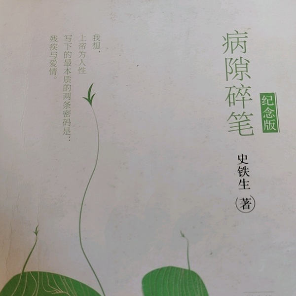 病隙碎笔|纪念版