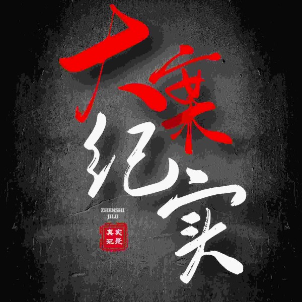 大案纪实