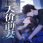 旧婚新爱：陆总的天价前妻-佚名-天烟怒，嗷呜小恐龙