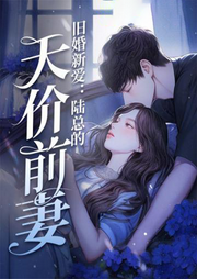 旧婚新爱：陆总的天价前妻-佚名-天烟怒