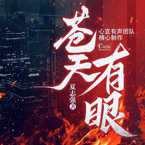 苍天有眼|官场权力的游戏|夏志强影视剧同名|心宜有声多人有声剧