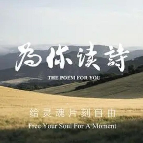 为你读诗
