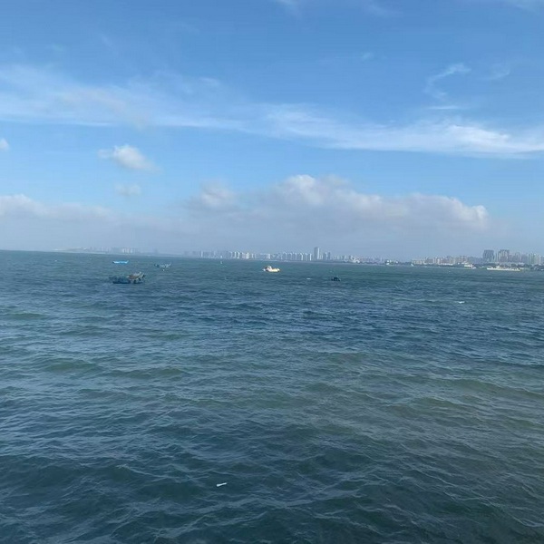 东柱说胰岛素抵抗
