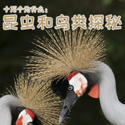 十万个为什么|5昆虫和鸟类探秘-李继勇-中视视界，书魔方听书馆