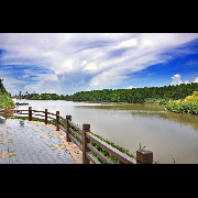 广州-南沙湿地公园--恋景学院-
