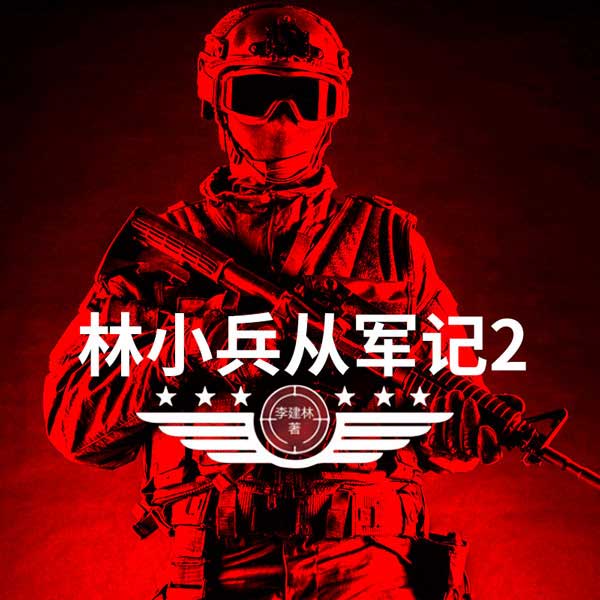 林小兵从军记2